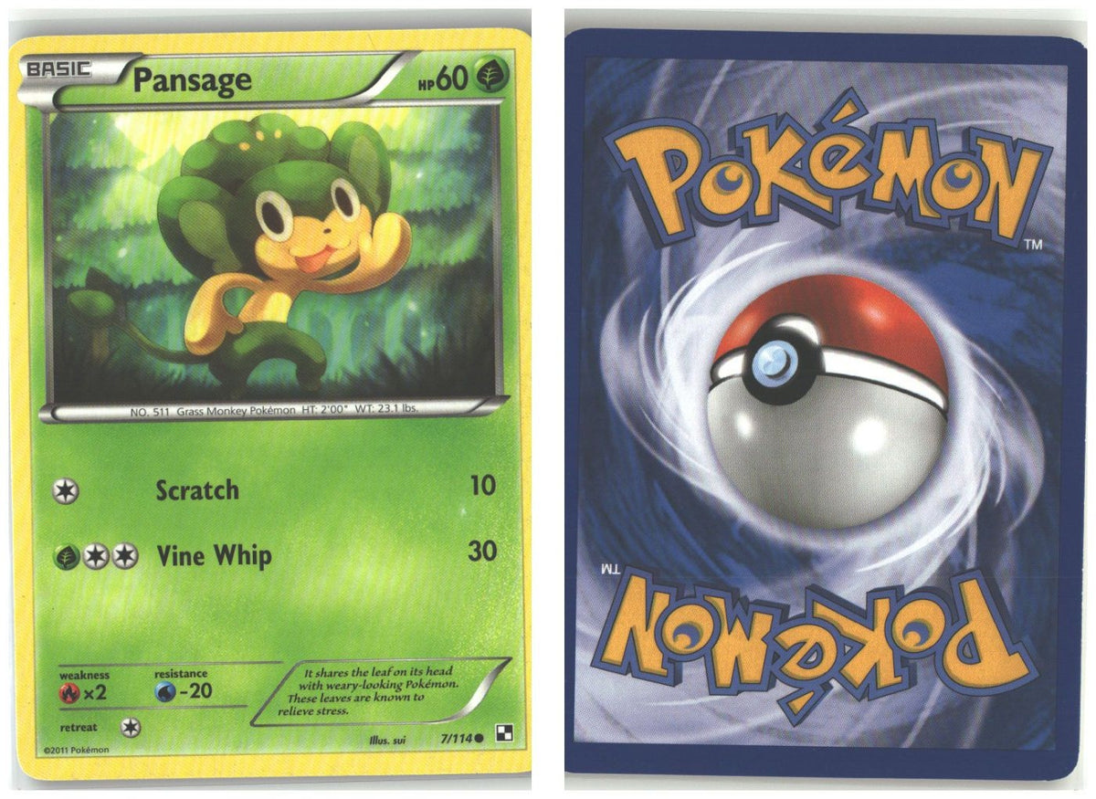 Front + Back scan