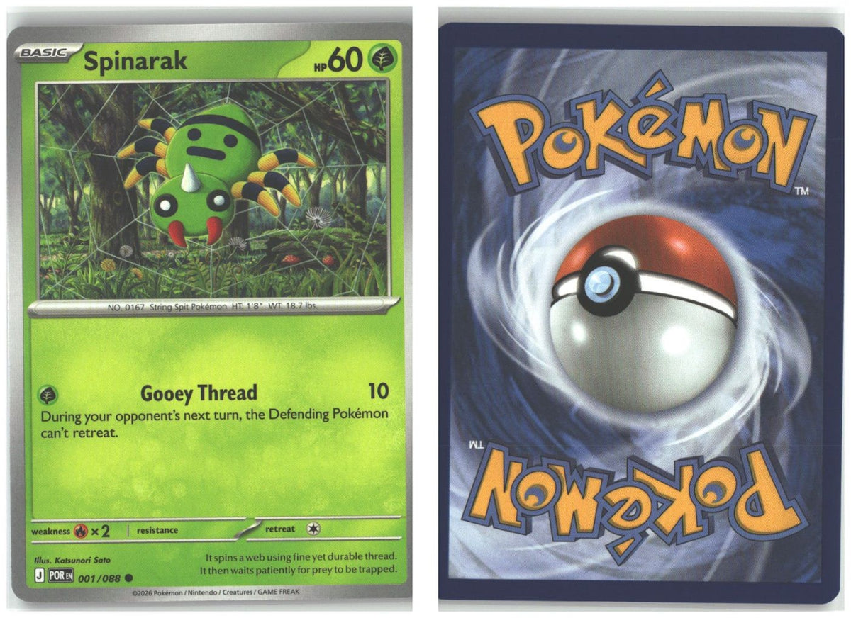 Front + Back scan