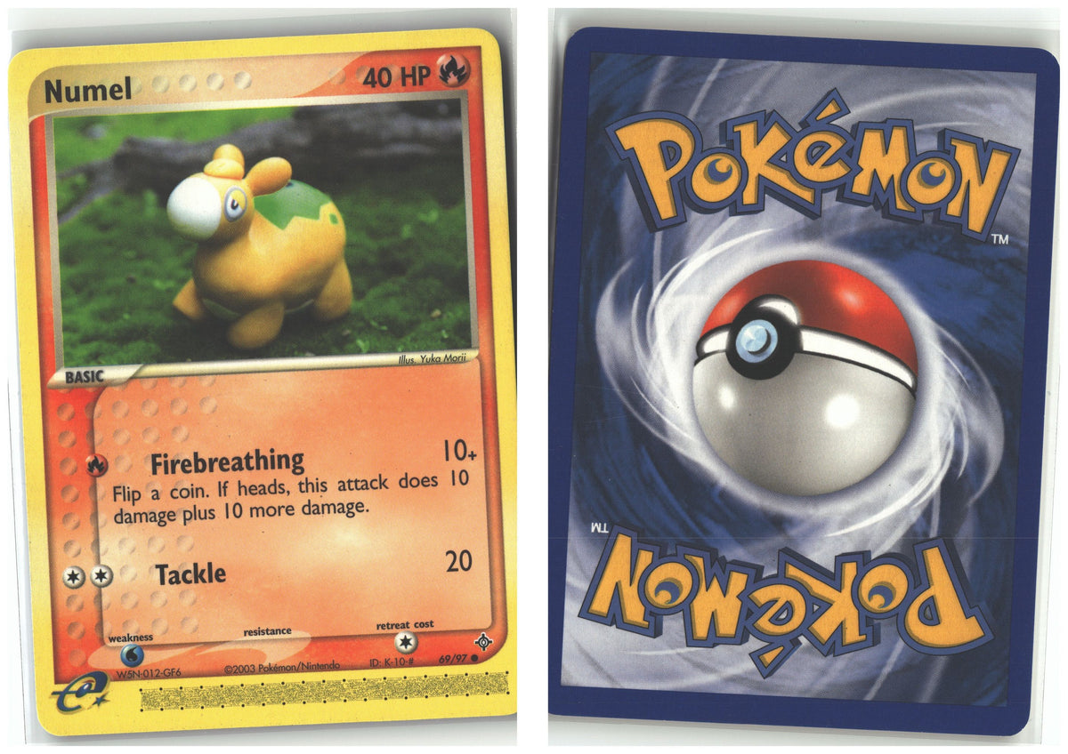Front + Back scan