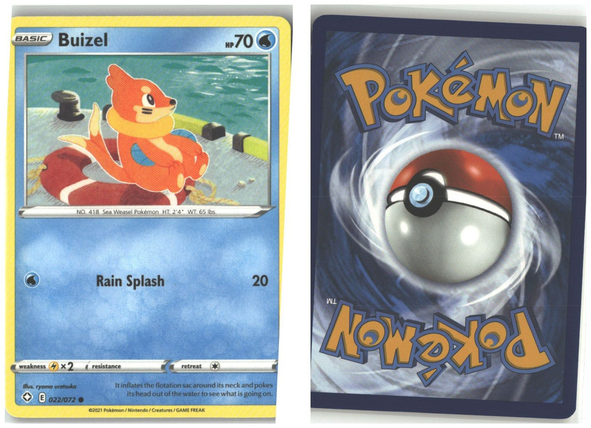 Front + Back scan