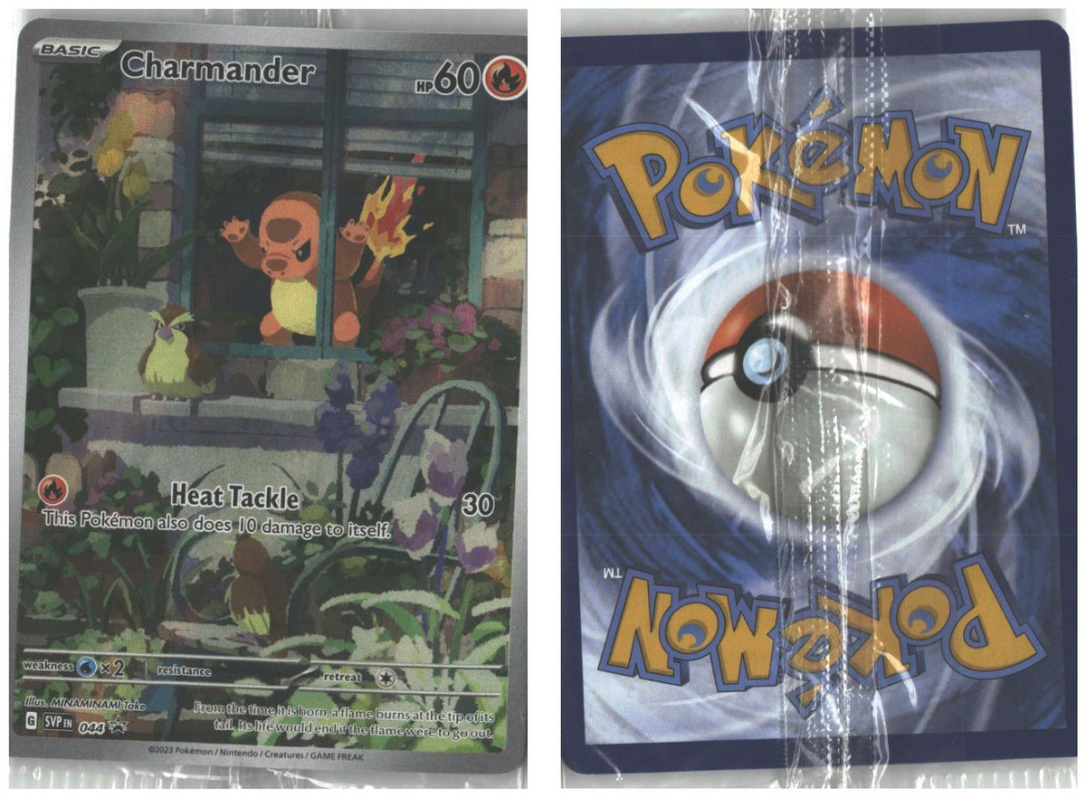 Front + Back scan