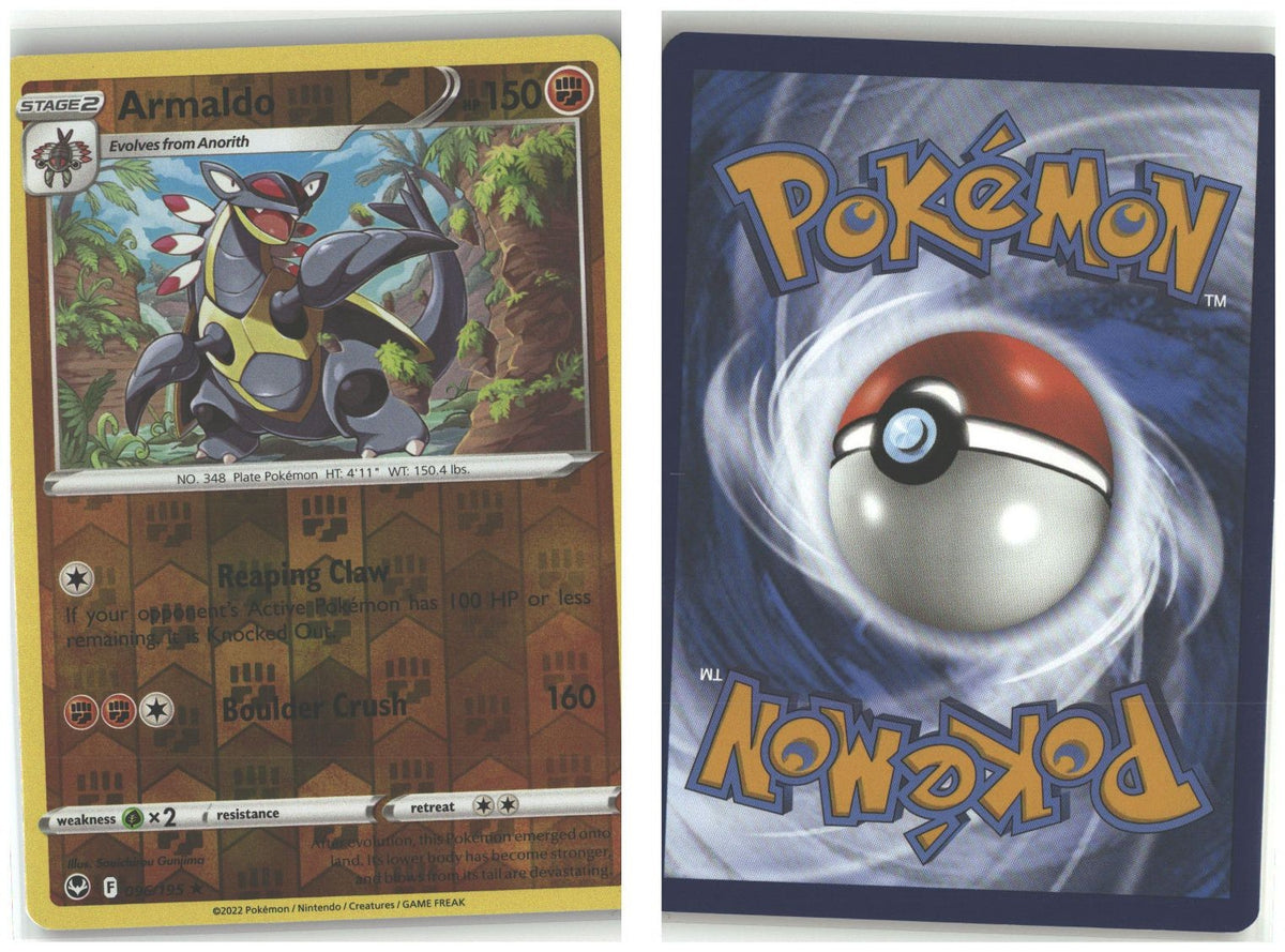 Front + Back scan