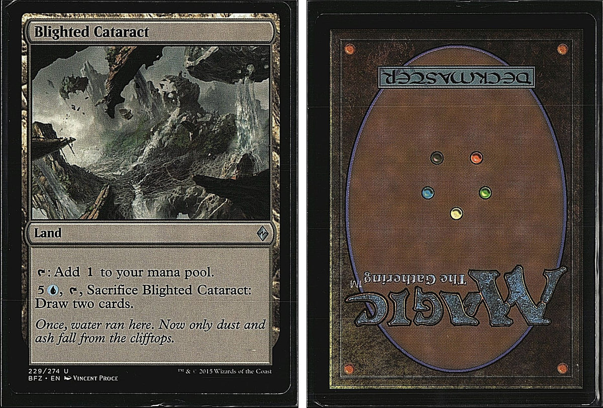 Front + Back scan