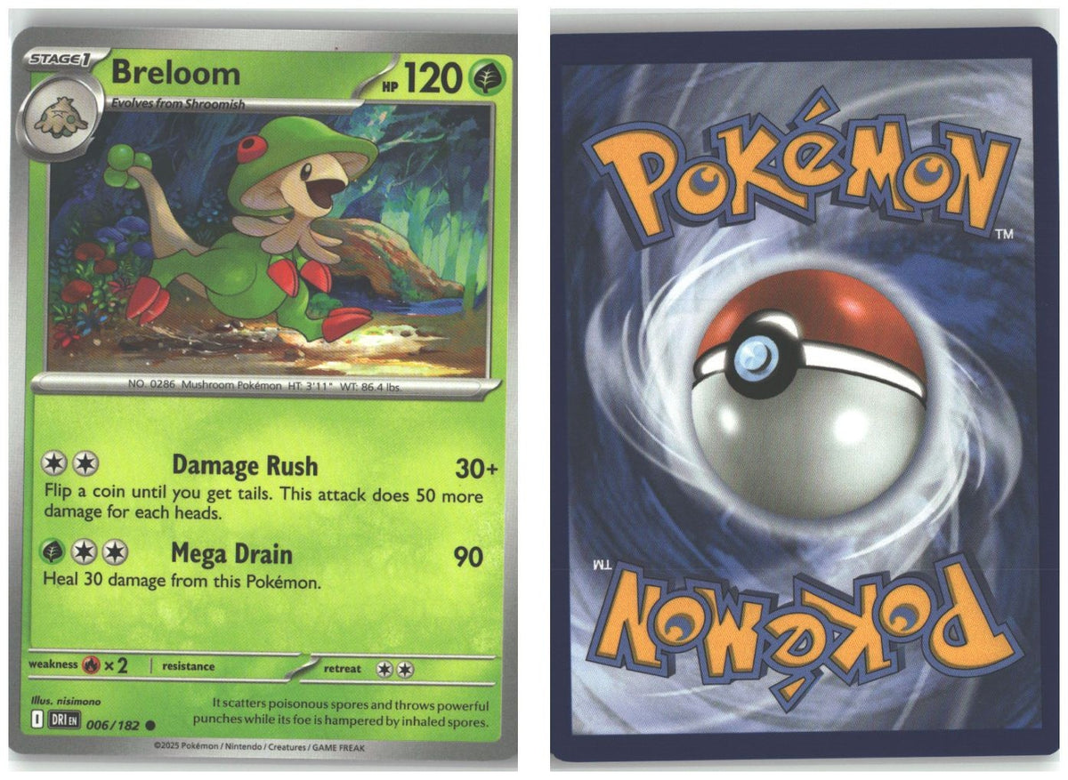 Front + Back scan