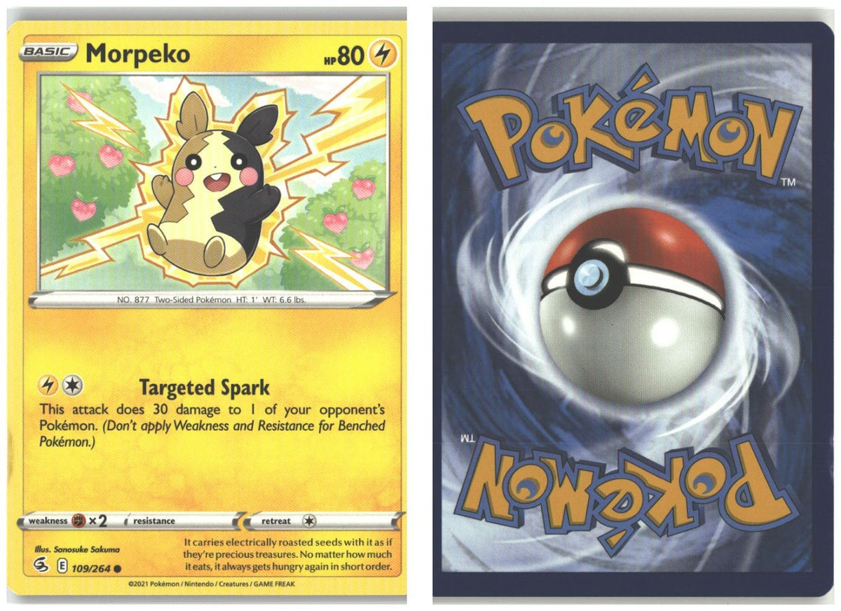 Front + Back scan