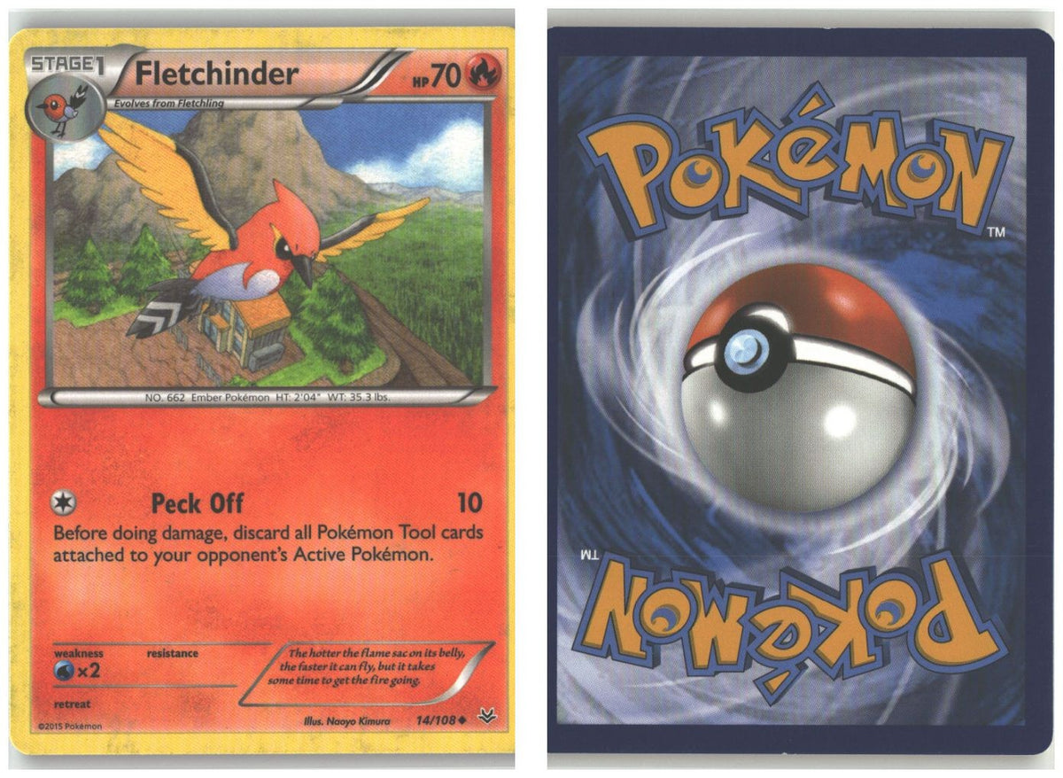 Front + Back scan