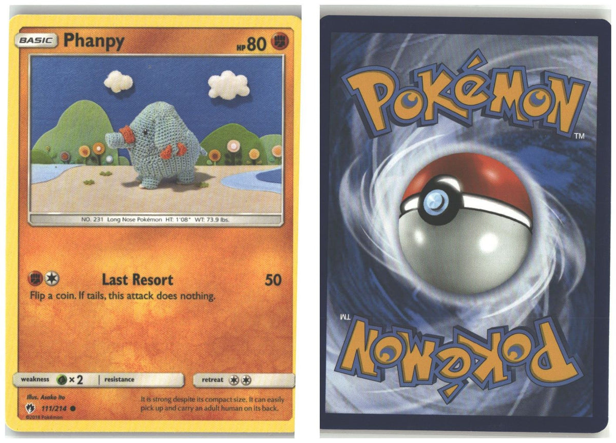 Front + Back scan