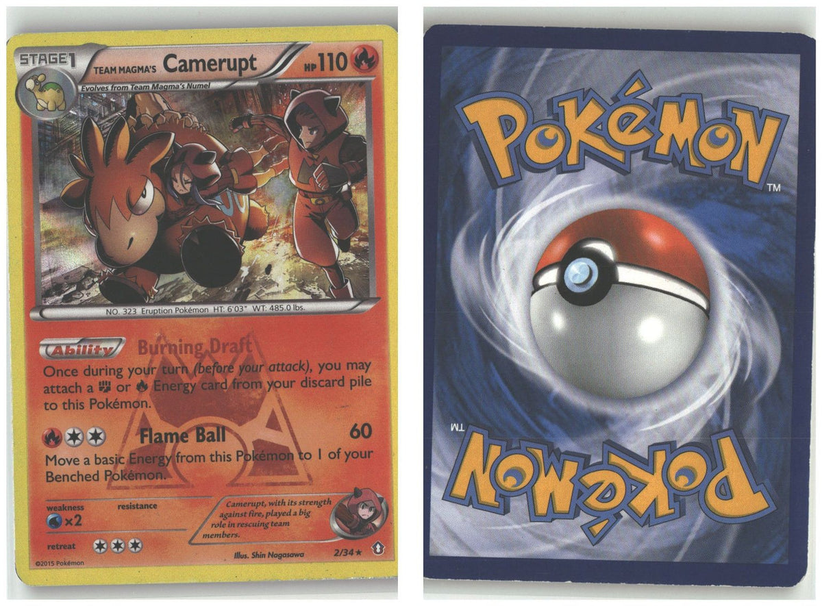 Front + Back scan