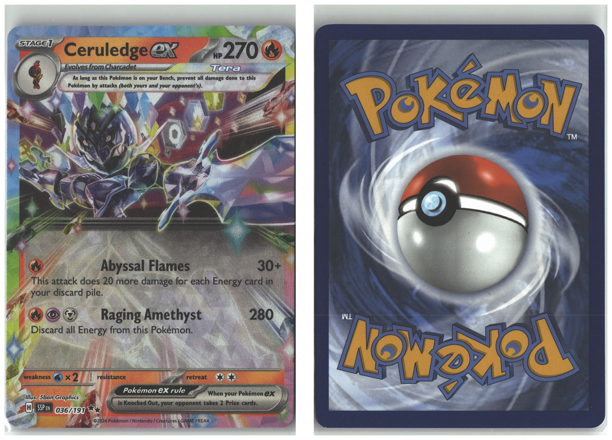 Front + Back scan