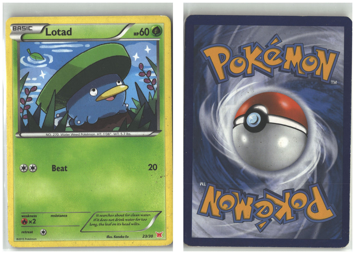Front + Back scan