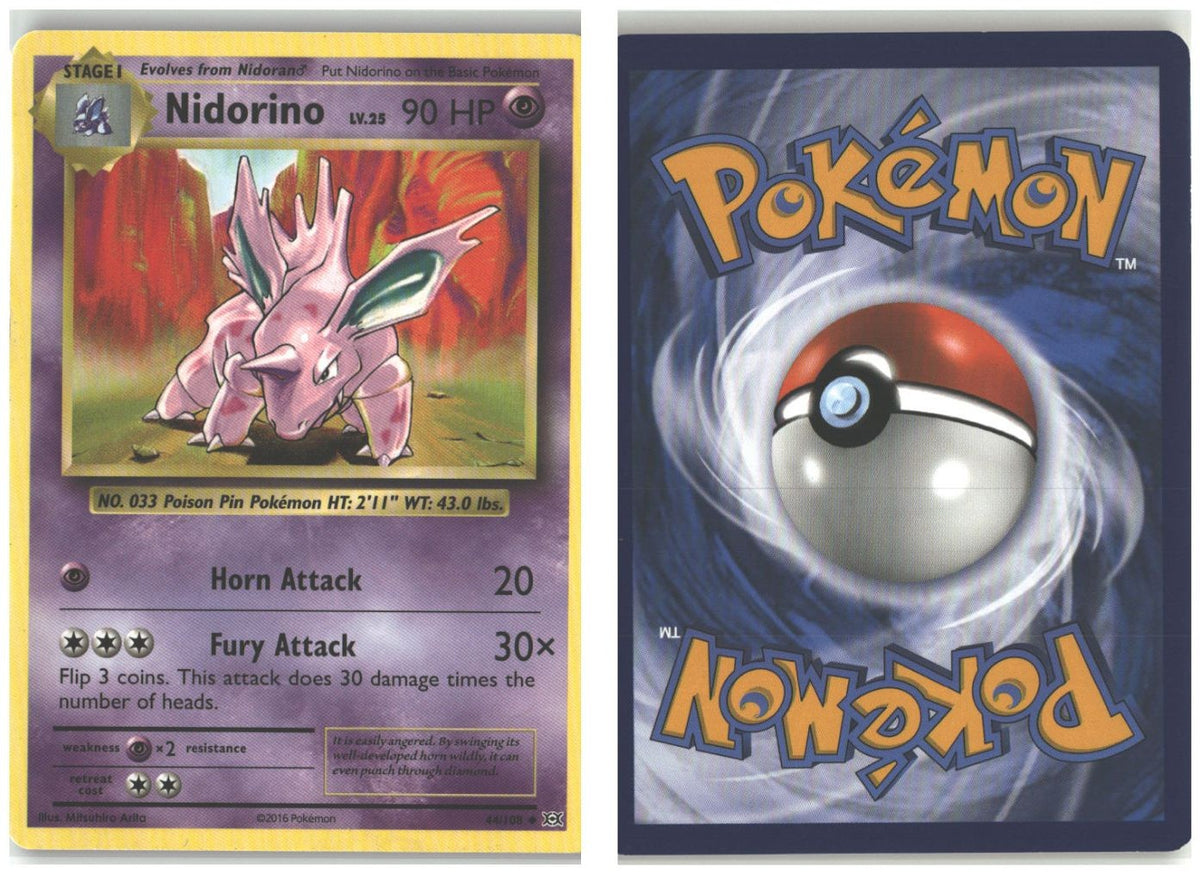 Front + Back scan