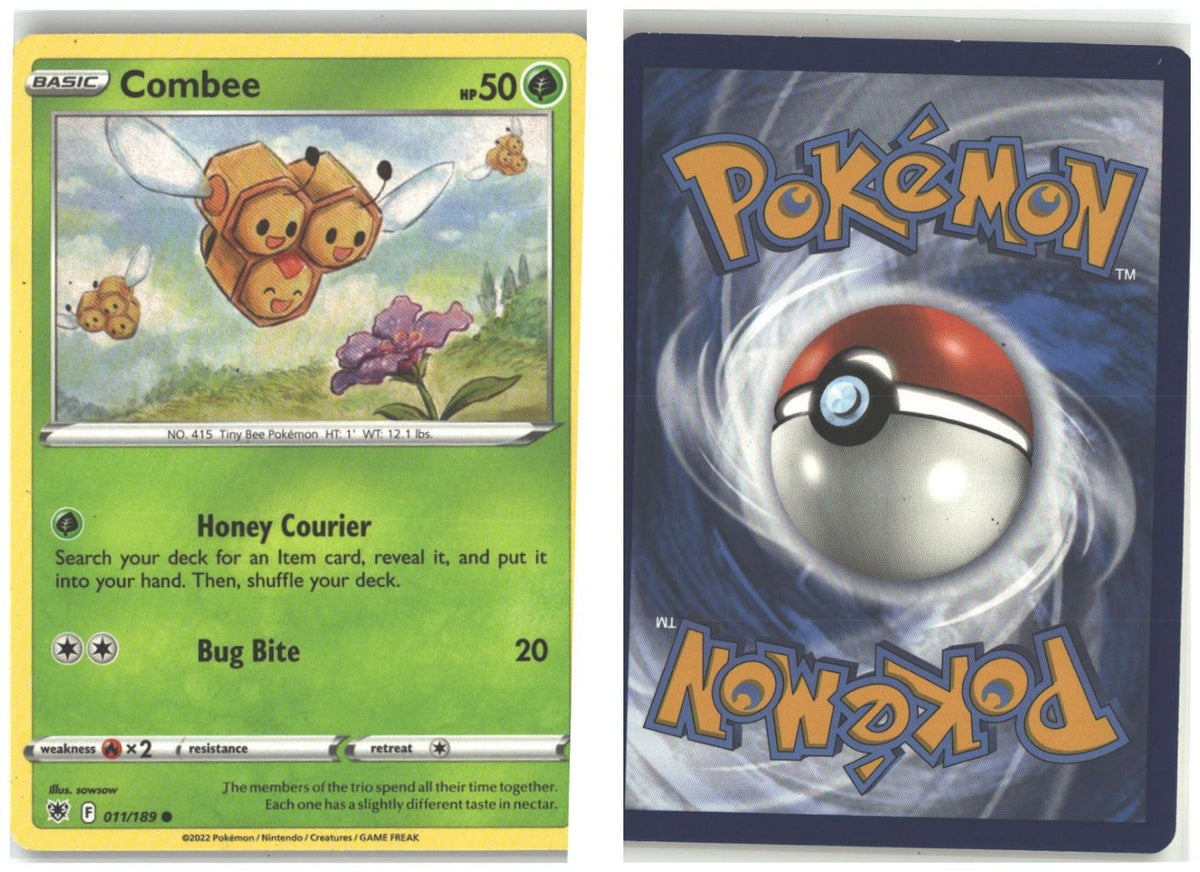 Front + Back scan