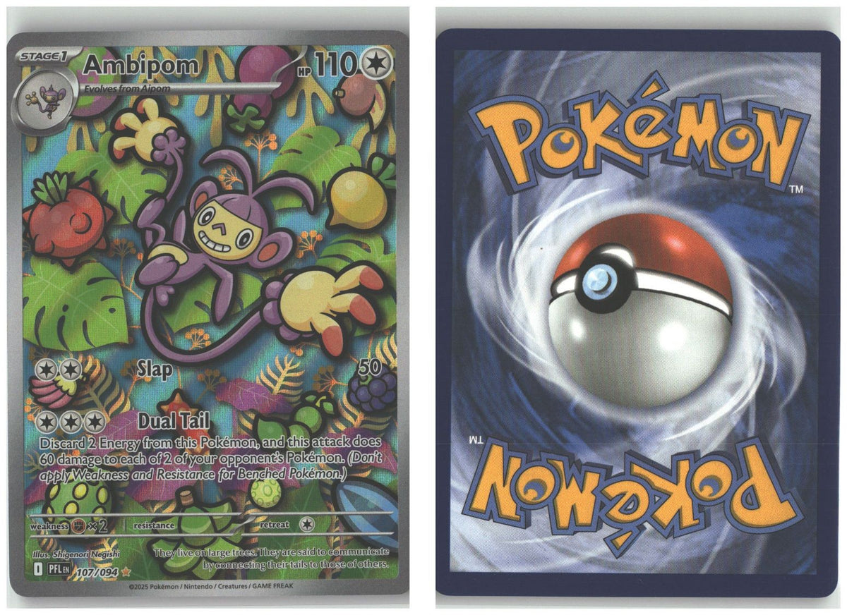 Front + Back scan