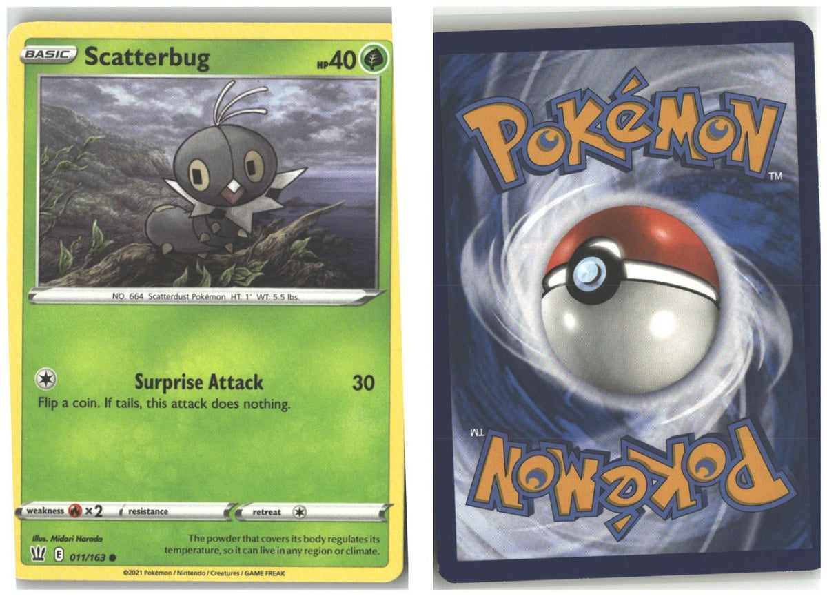 Front + Back scan