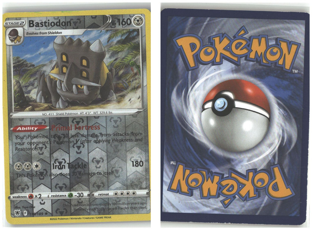 Front + Back scan
