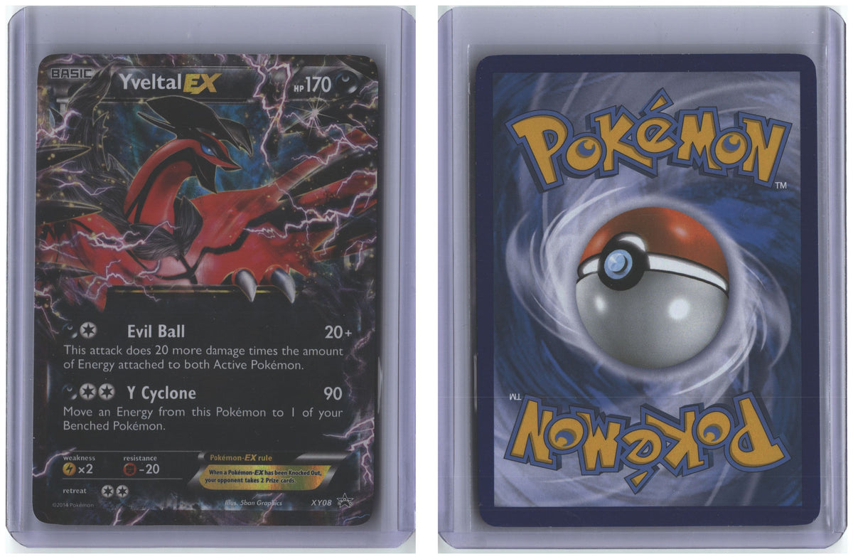 Front + Back scan
