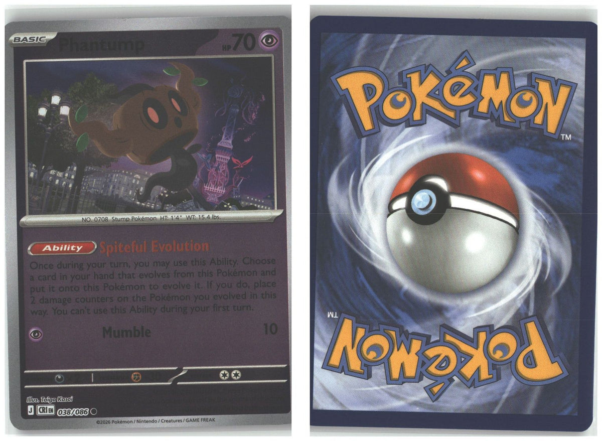 Front + Back scan
