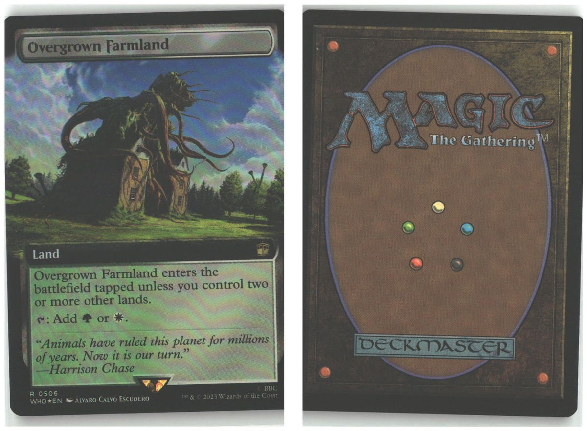 Front + Back scan