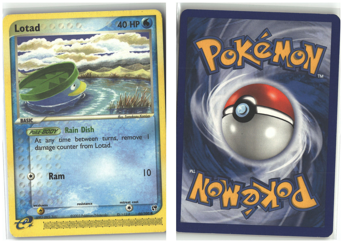 Front + Back scan