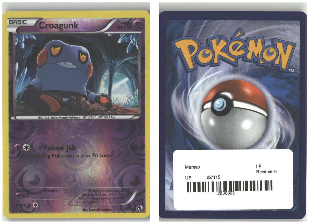 Front + Back scan