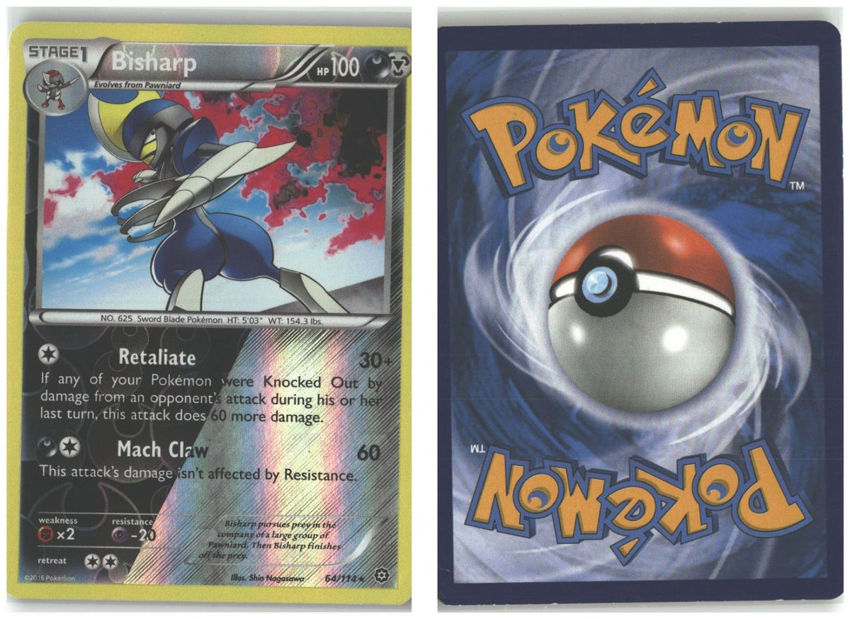 Front + Back scan