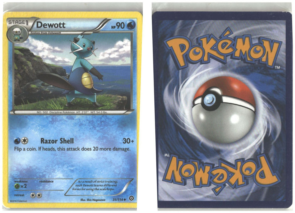 Front + Back scan