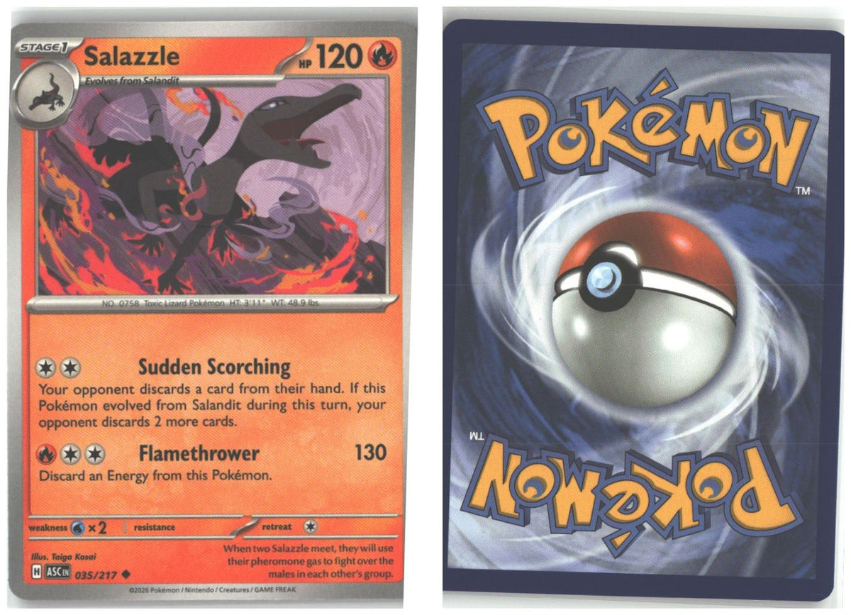 Front + Back scan