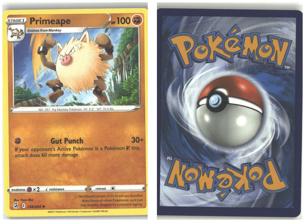 Front + Back scan
