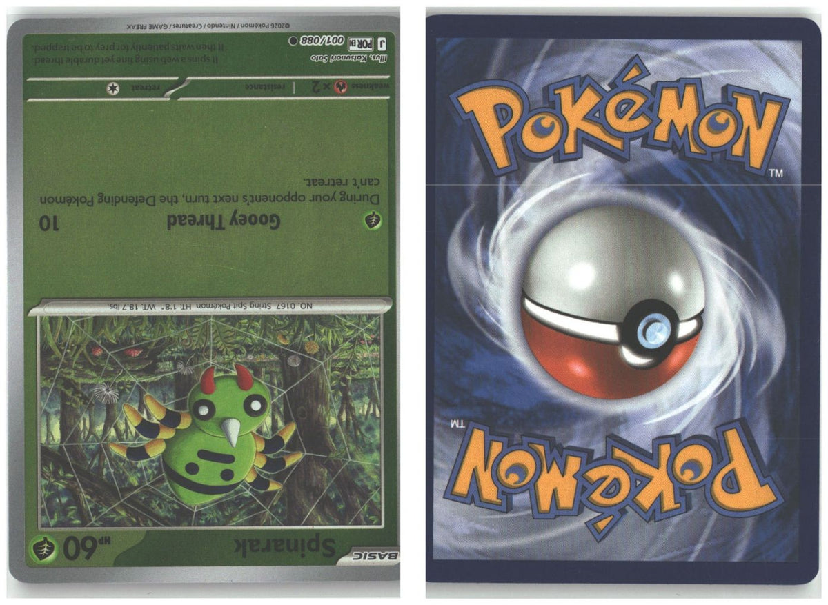 Front + Back scan