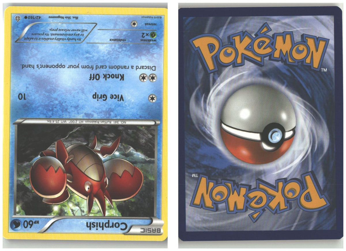 Front + Back scan