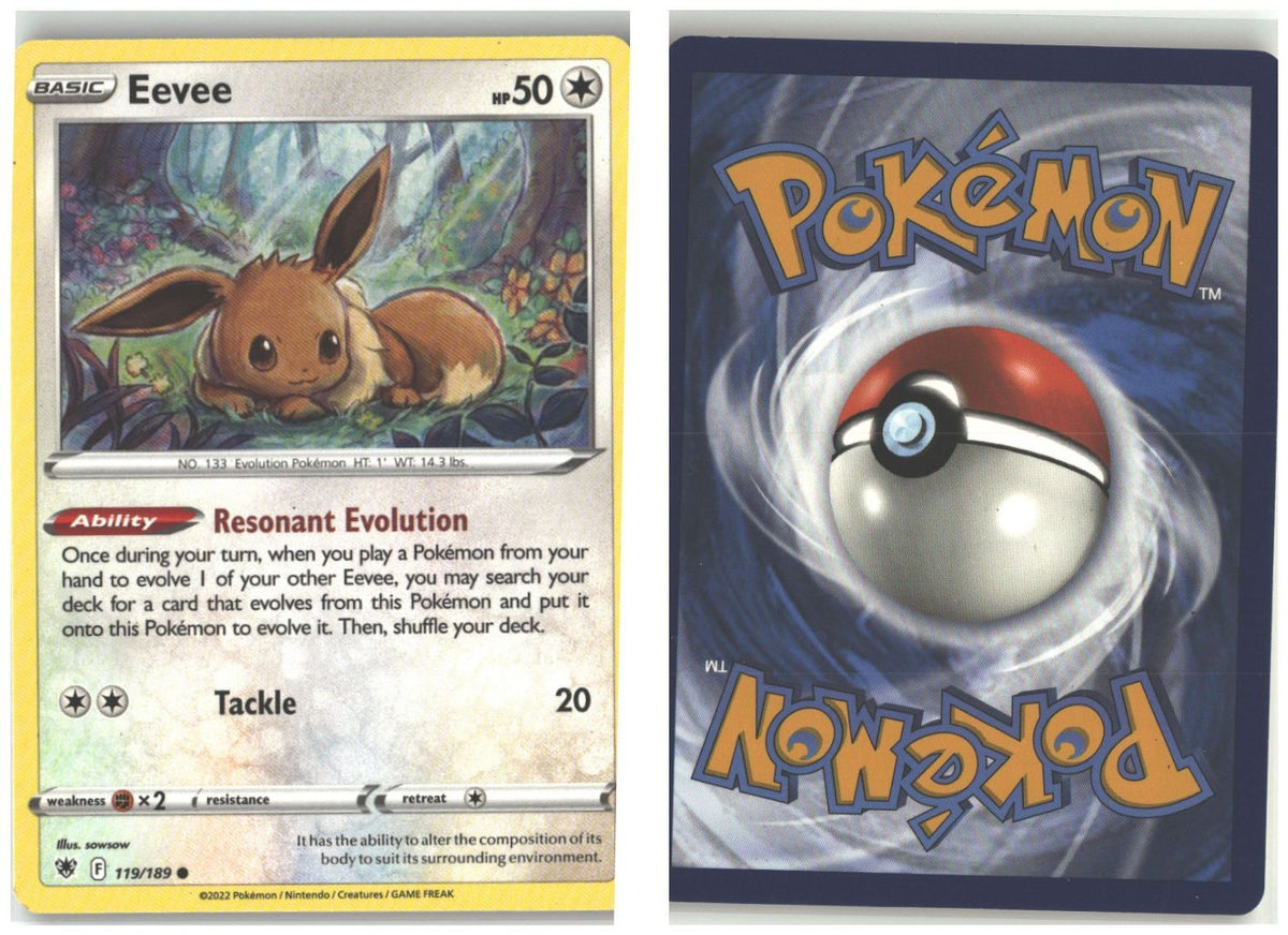 Front + Back scan