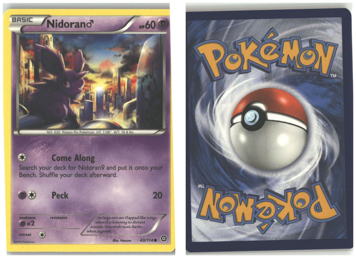 Front + Back scan