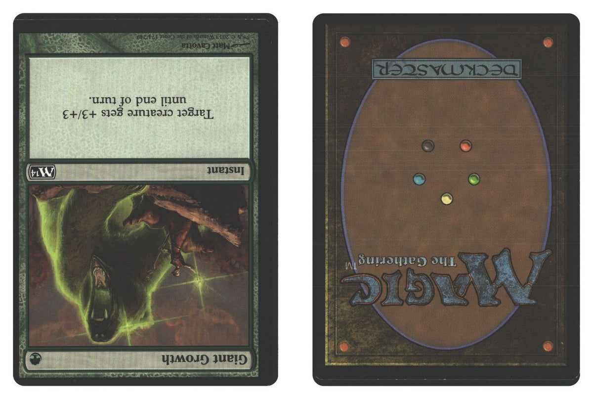Front + Back scan
