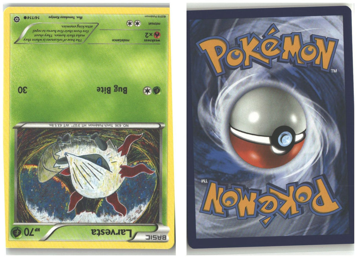 Front + Back scan