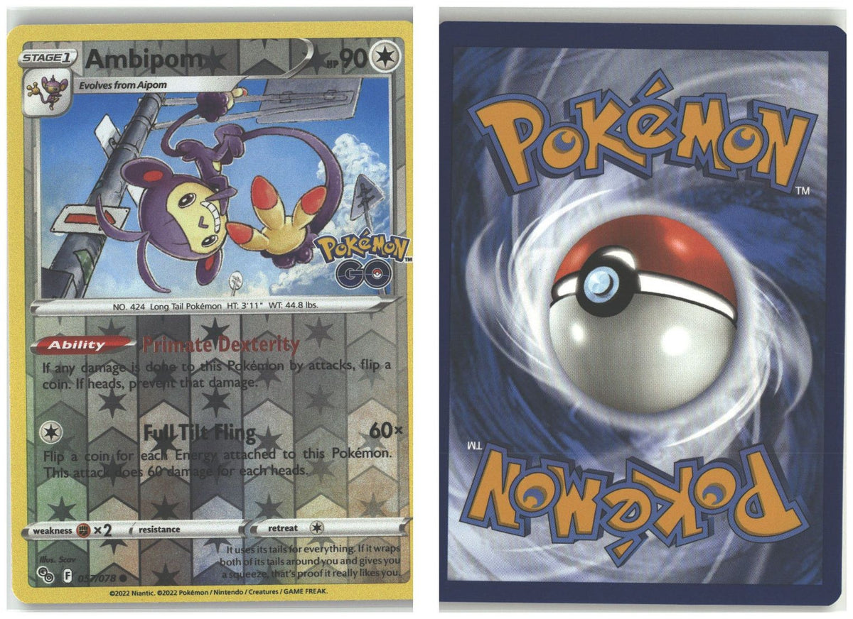 Front + Back scan