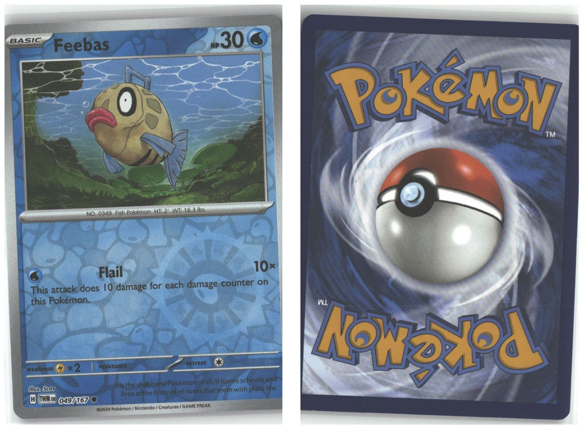 Front + Back scan