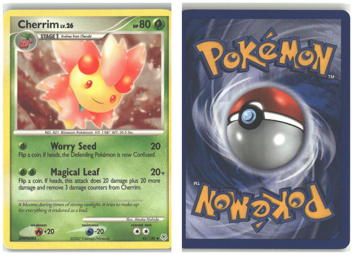 Front + Back scan