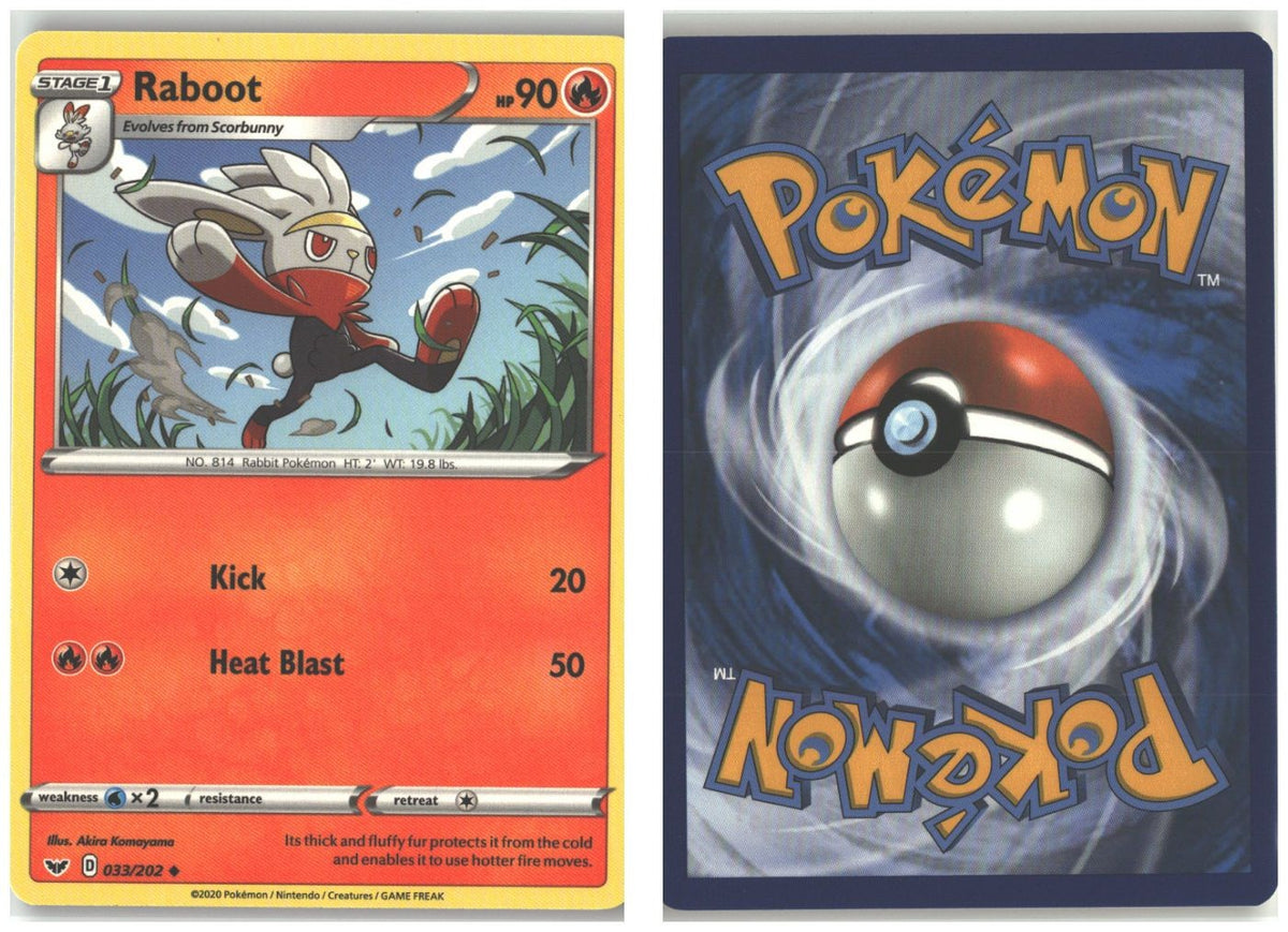 Front + Back scan