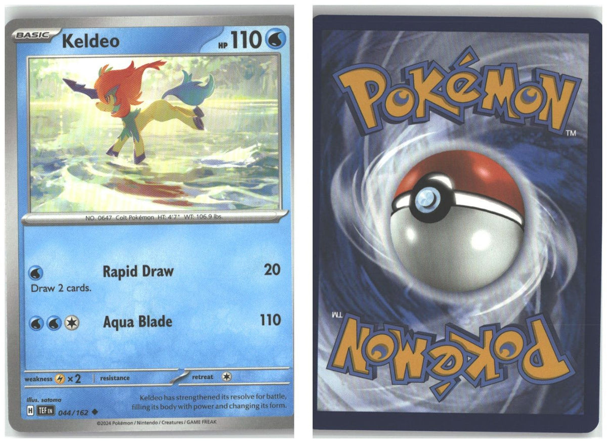 Front + Back scan