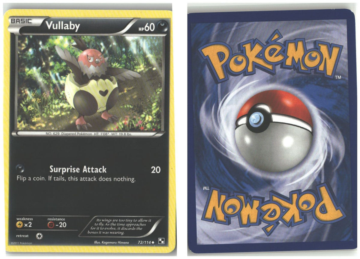 Front + Back scan