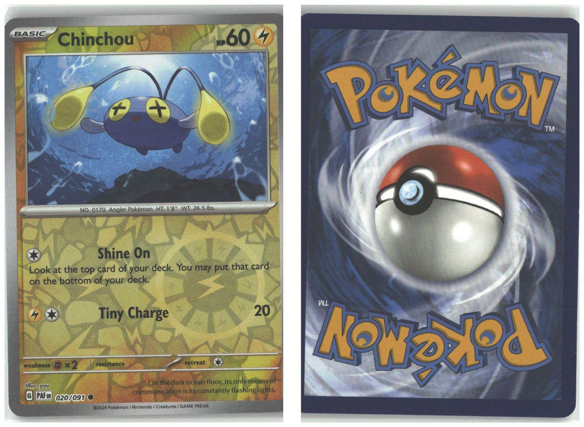 Front + Back scan