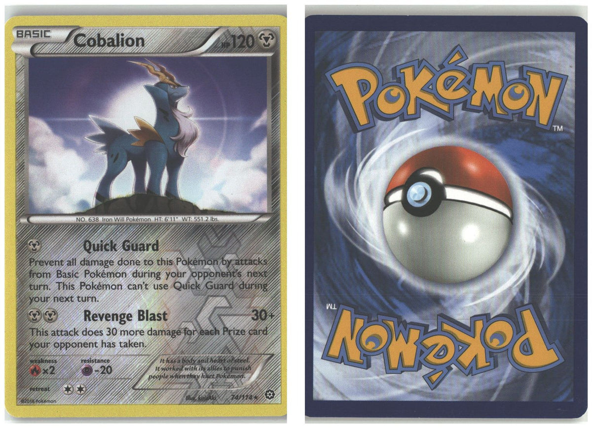 Front + Back scan
