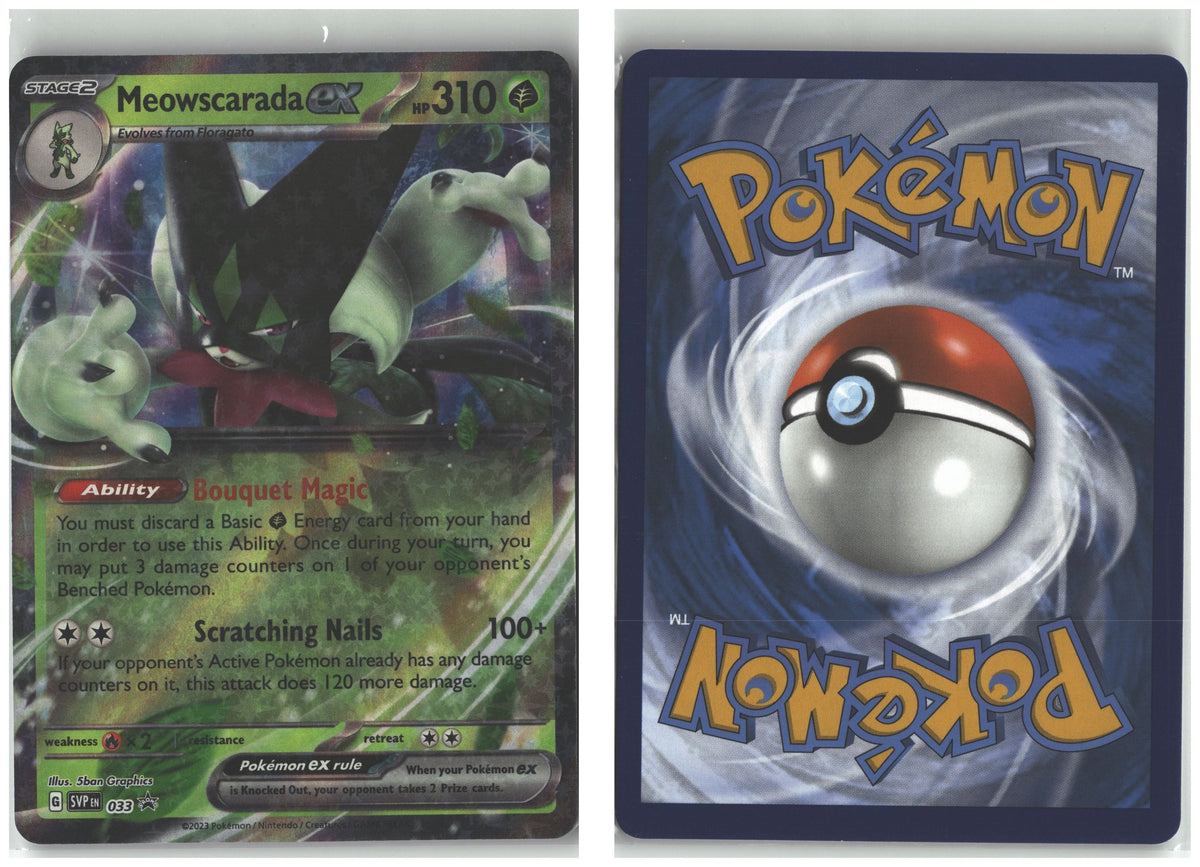 Front + Back scan