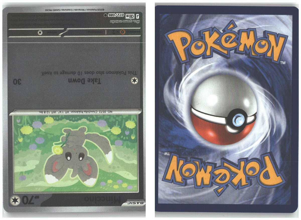Front + Back scan