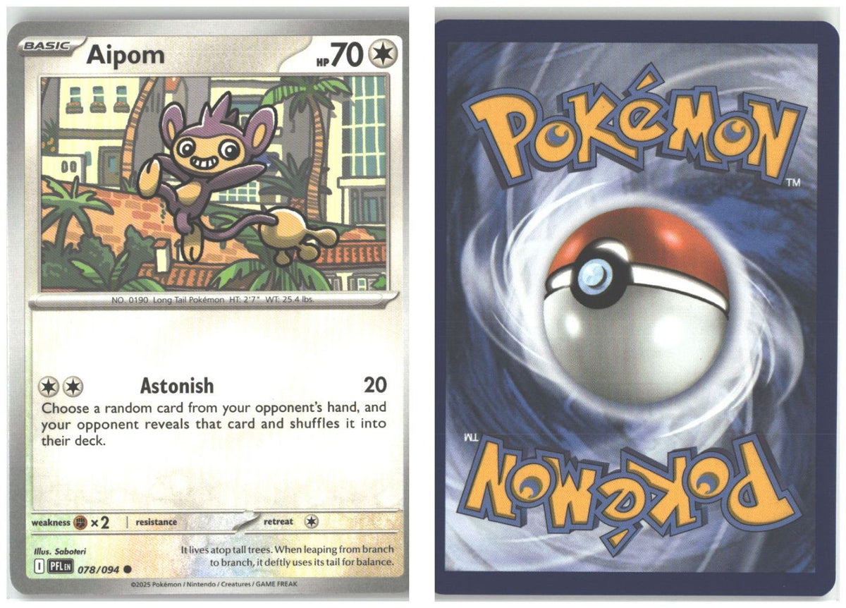 Front + Back scan