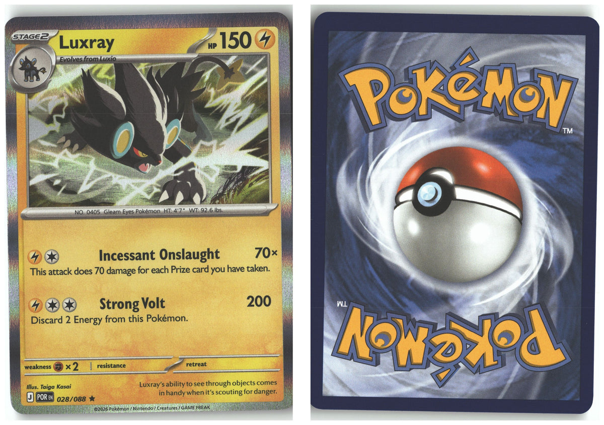Front + Back scan