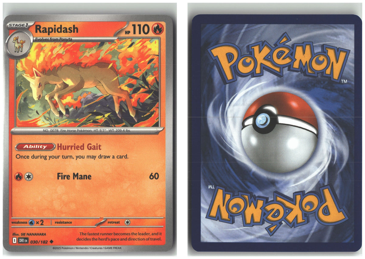 Front + Back scan