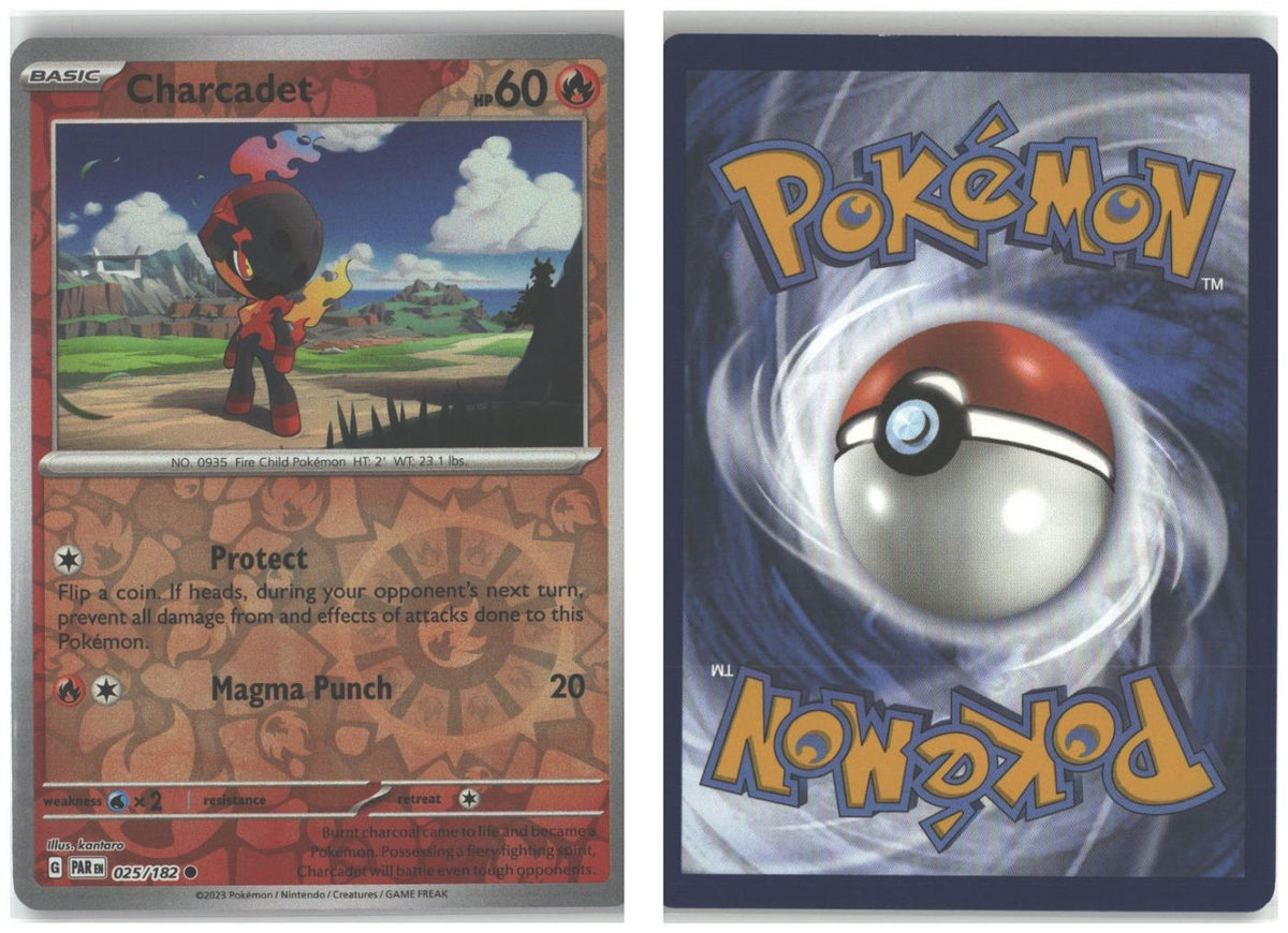 Front + Back scan