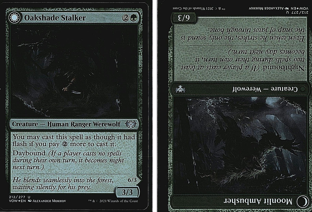 Front + Back scan