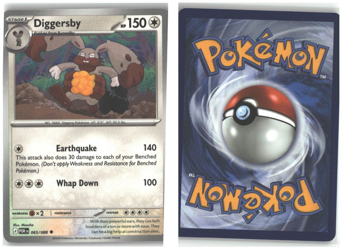 Front + Back scan